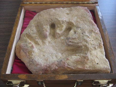 O fosilă a unui amprente umane a fost găsită imprimată în calcar estimat a avea 110 milioane de ani vechime.