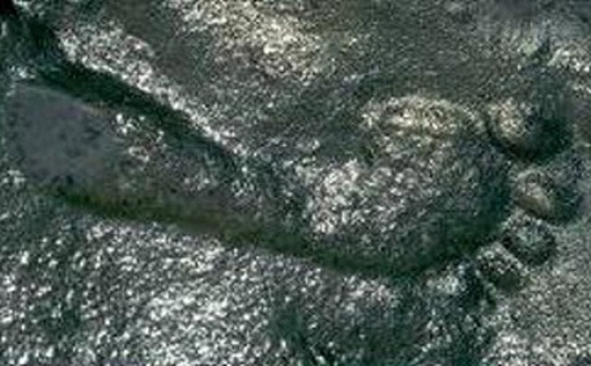 O urmă de picior uman este fosilizată într-o piatră care datează de acum aproximativ 290 de milioane de ani. Descoperirea a fost facută în 1987, în New Mexico, de paleontologul Jerry MacDonald. (www.forbiddenhistory.info)