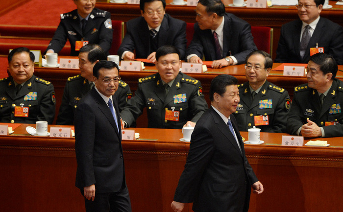 China: Preşedintele Xi Jinping (D)