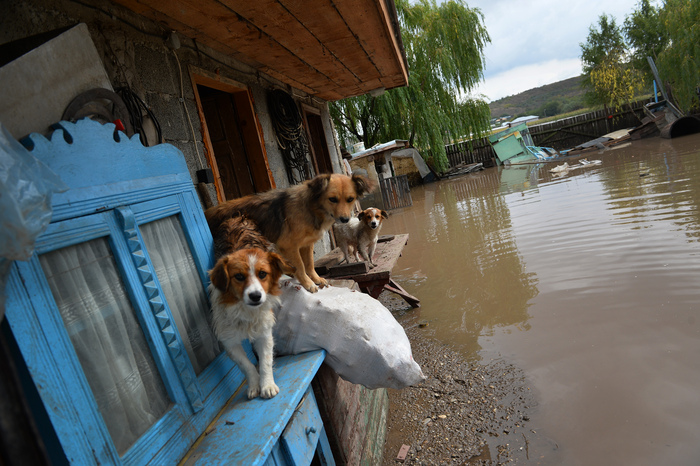 Inundaţii în Slobozia Conachi, 14 septembrie 2013 (DANIEL MIHAILESCU / AFP / Getty Images)