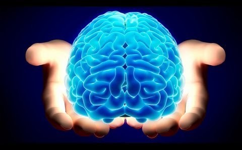 Creierul uman