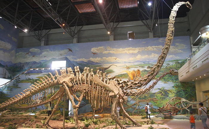 Schelete de dinozauri Sauropods la Muzeul Dinozaurilor din Zigong.