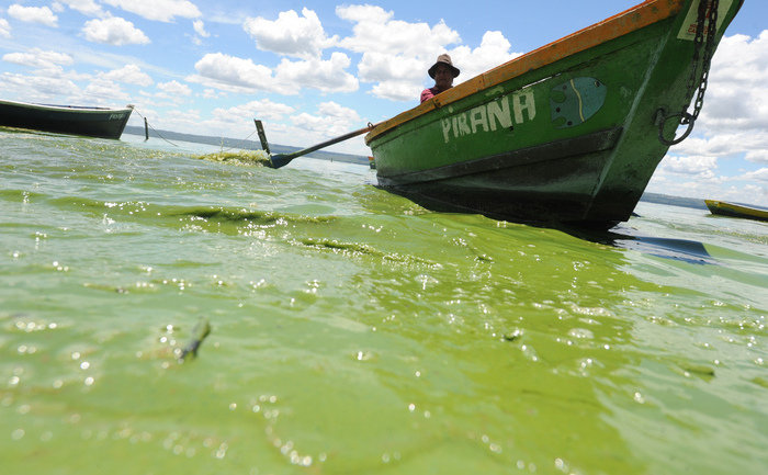 Apele poluate ale lacului Ypacarai lângă Aregua, Paraguay (NORBERTO DUARTE / AFP / Getty Images)