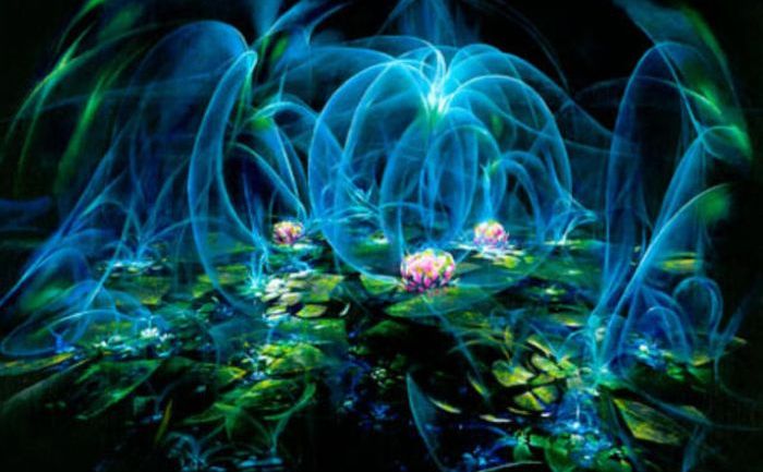 Flori de Lotus în Lumină Divină.