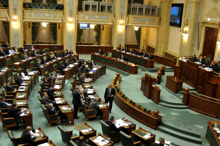 Parlamentul României, Senat, şedinţă în plen