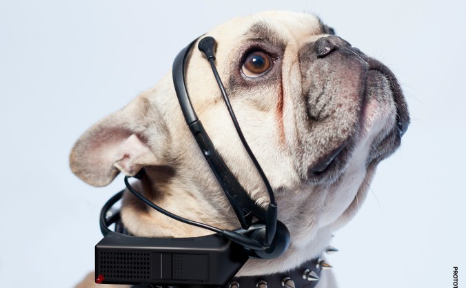 Un dispozitiv care comunică gândurile câinelui proprietarul său. 
