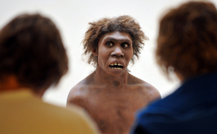 Neandertalian la Muzeul Naţional de Preistorie, Eyzies-de-Tayac, Dordogne, Franţa
