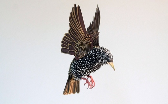 sculptură din hârtie de Diana-Beltran-Herrera (Diana-Beltran-Herrera)