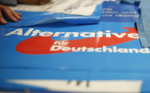 Alternativa pentru Germania (AfD). (PHILIPP GUELLAND / AFP / Getty Images)