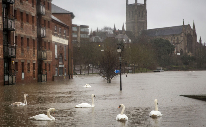 Worcester, Anglia, 11 februarie 2014.
