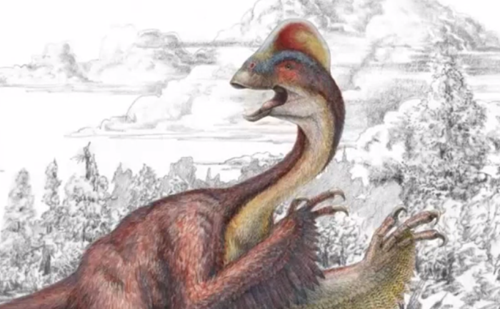 Dinozaurul nou descoperit denumit Anzu. (captură youtube.com)