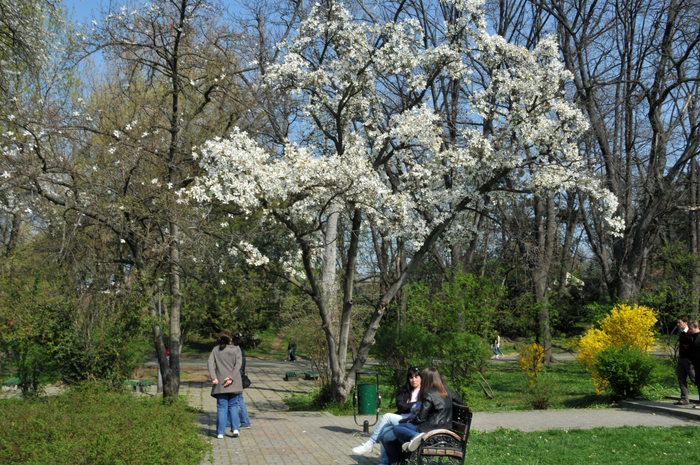 Wekeend în Parcul Herăstrău într-o zi însorită de primăvară