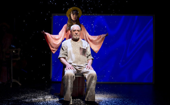 Actor si regizor (Teatrul Nottara)