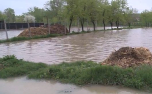 Inundaţii în judeţul Olt. 19 aprilie 2014.