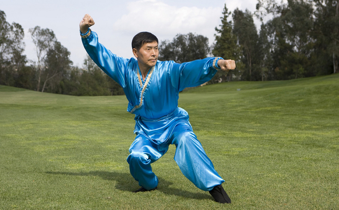 Artele marţiale chineze (cunoscute şi sub numele de kung fu) îşi au rădăcinile în cultura antică chineză şi au conotaţii foarte profunde. 