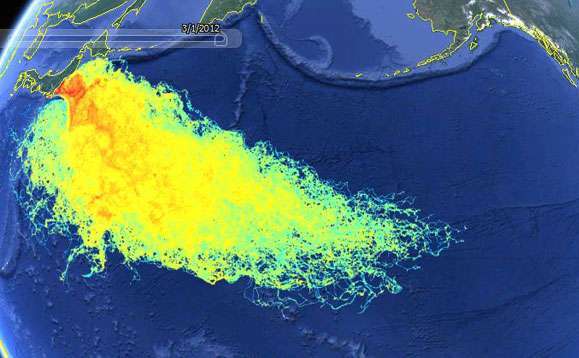 Curenţi oceanici care transporta apa radioaciva de la Fukushima, ianuarie 2014