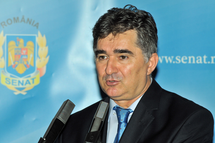 Ioan Ghişe, senator