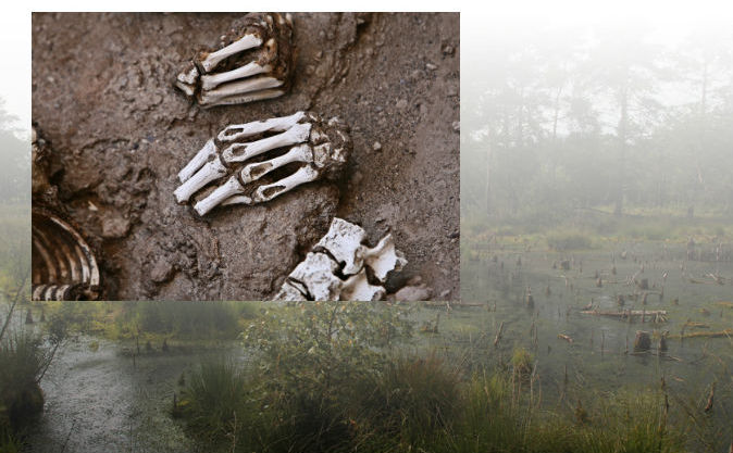 Fotografii de mumii şi mlaştini, cunoscute sub numele de "bog". În Scoţia arheologii au găsit mumii prezervate în mlaştini (Shutterstock*)