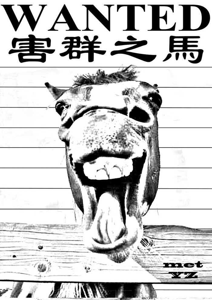 Expresia chinezească: “un cal care strică întreaga herghelie” a fost folosită pentru a descrie pe oricine care are o influenţă nefastă asupra grupului sau rasei sale. 