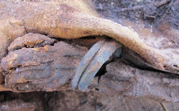 

Arheologii au descoperit în Egipt un cimitir cu peste un milion de mumii.
