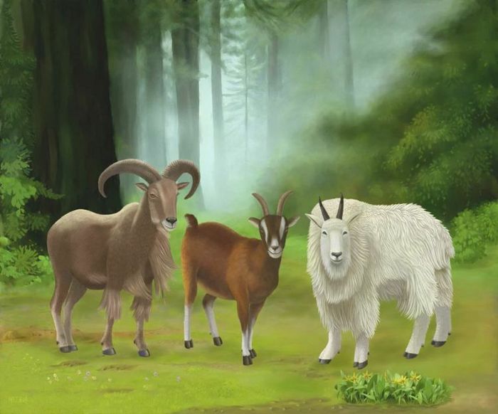 Дети года козы. Три козла. Коза Великая. Коза арт. Картинки посвященные 2015 году козы.