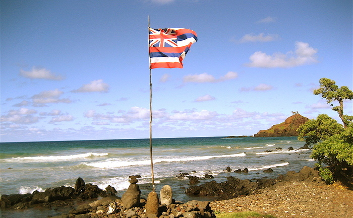 Steagul naţional al Hawaii. (Captură Foto)