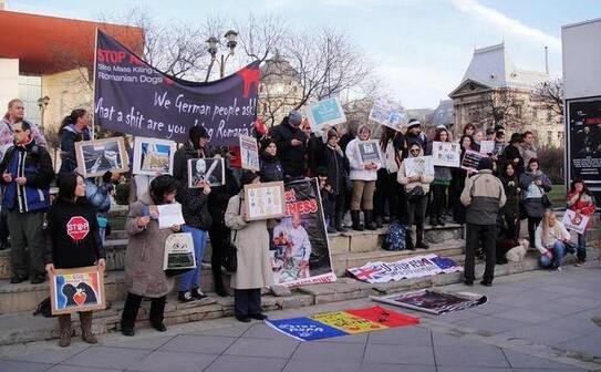 Protest pentru câinii fără stăpân (Facebook)