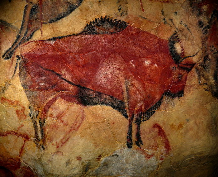Reproducerea unui bizon după o pictură găsită în pestera Altamira din Spania, despre care se crede că are o vechime de 17.000 ani 