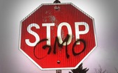 Stop OMG