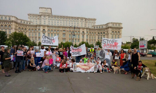 Protest în faţa Palatului Parlamentului (Facebook)