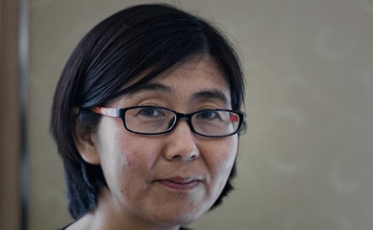 Avocata Wang Yu în Hong Kong în 20 martie 2014. (PHILIPPE LOPEZ/AFP/Getty Images)