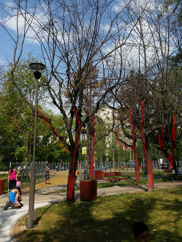 Copaci uscaţi în Parcul Drumul Taberei.