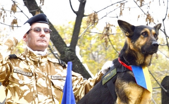 Max, câinele erou (Facebook)