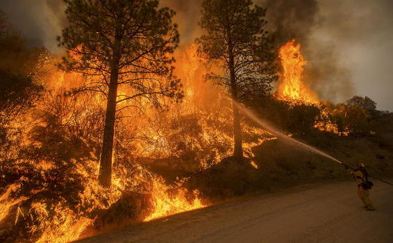 Un pompier se luptă cu focul în apropiere de San Andreas,  California, 12 septembrie 2015. (Captură Foto)