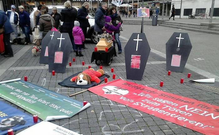 Protest împotriva uciderii câinilor comunitari din România, 17 octombrie 2015.