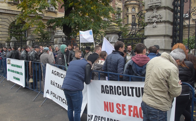 Protest al crescătorilor de ovine în faţa Ministerului Agriculturii