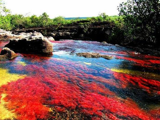 Caño Cristales,"Râul celor cinci culori" se află în Sierra de la Macarena, Columbia (Facebook.com/La Gran Epoca)