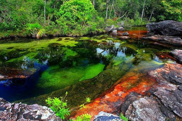 
Caño Cristales,"Râul celor cinci culori", se află în Sierra de la Macarena, Columbia