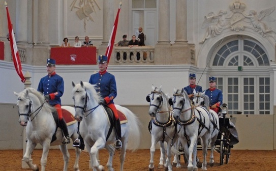 Şcoala de echitaţie de la Viena (Turismmark.ro)