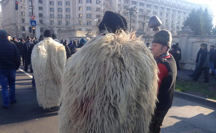 Protest al ciobanilor în faţa Parlamentului. (Epoch Times România)