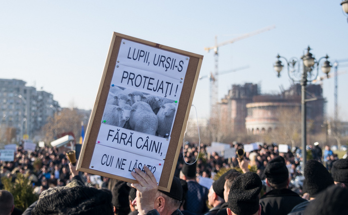 Protest al Ciobanilor in curtea Parlamentului (Eugen Horoiu/Epoch Times)