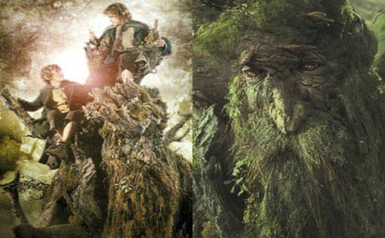 Copacii misterioşi  din Ecuador amintesc vizitatorilor de creaţiile lui J.R.R. Tolkien. (Google.com)