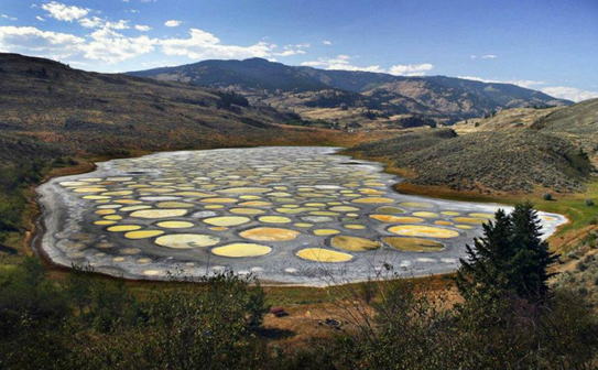 Lacul Kliluk (Canada) - vara, din cauza evaporării, concentraţia de minerale din apă este în creştere şi extraordinarul "efect al petelor " devine mult mai evident. (Province of British Columbia)