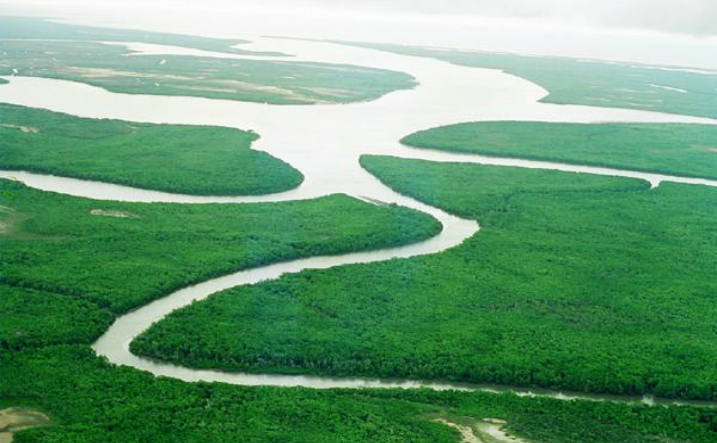 Go hiking Replenishment sword De unde vine numele fluviului Amazon? (video) | Epoch Times România