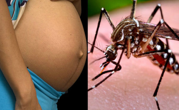 Columbia a confirmat cel puţin 11.000 de cazuri de virus zika (Google.com)