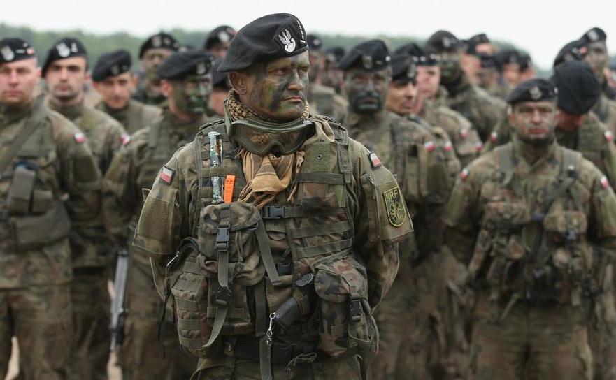Soldaţi polonezi la manevrele NATO numite Noble Jump (Sean Gallup/Getty Images)