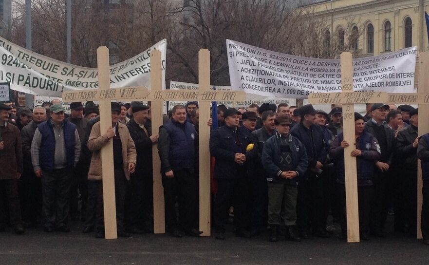 Protest pentru salvarea pădurilor la Guvern, 24. 02. 2015 (Epoch Times)