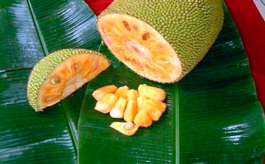 Fruct de pâine (Breadfruit) (Pinterest.com)