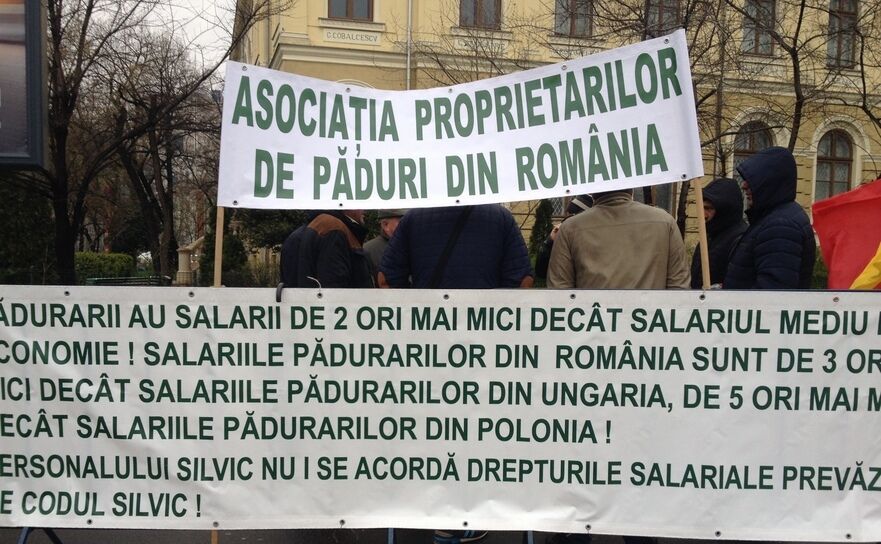 Protest al lucrătorilor din sectorul silvic (Epoch Times România)