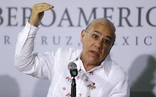 Jose Angel Gurria, secretarul general al Organizaţiei pentru Cooperare şi Dezvoltare Economic. (Captură Foto)